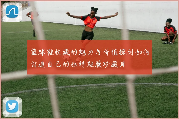 篮球鞋收藏的魅力与价值探讨如何打造自己的独特鞋履珍藏库