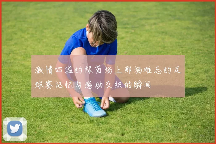 激情四溢的绿茵场上那场难忘的足球赛记忆与感动交织的瞬间
