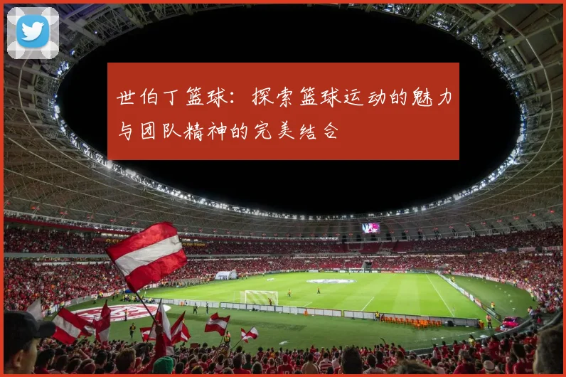 世伯丁篮球：探索篮球运动的魅力与团队精神的完美结合