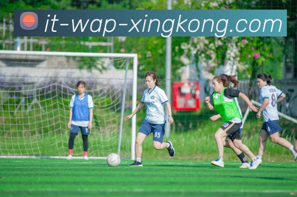 全平台支持APP 封面图